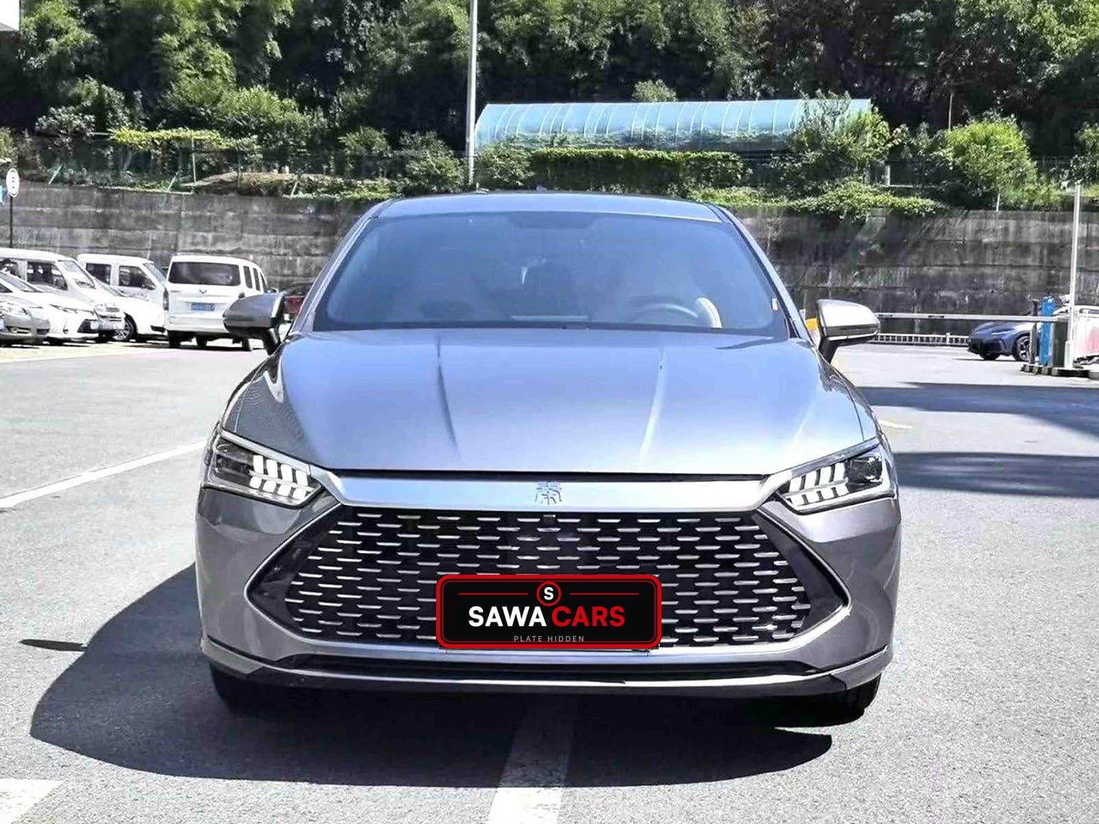 2023 Qin Plus — photographed at a Sawa inspection center